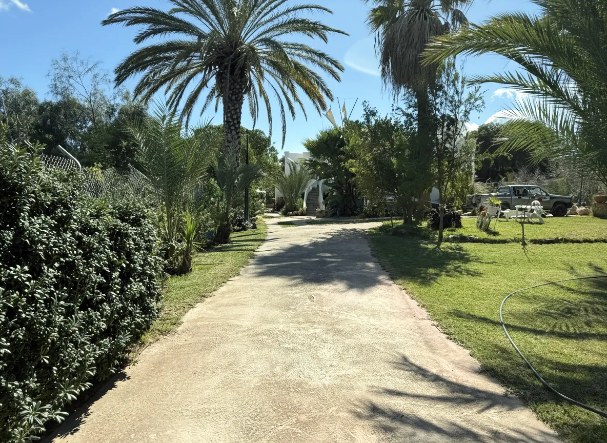 Tree-lined driveway leading to Captain's Lodge with palm trees and lush gardens